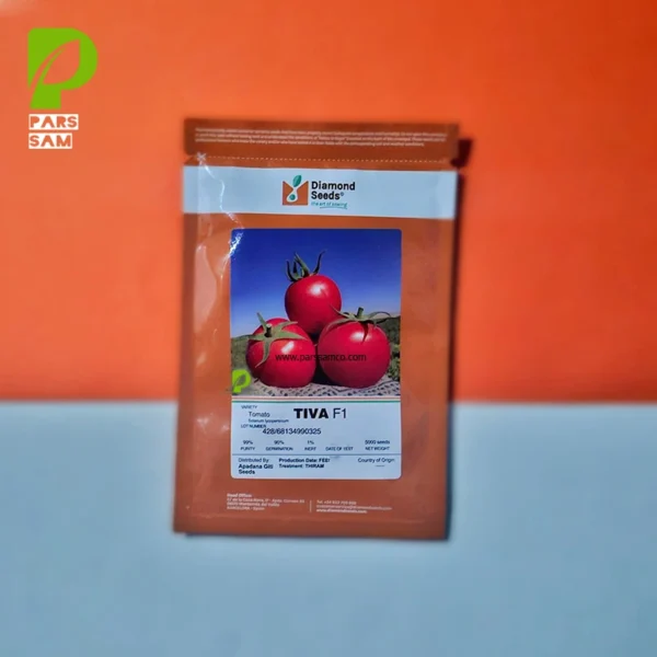 قوطی 5000 عددی بذر گوجه تیوا f1