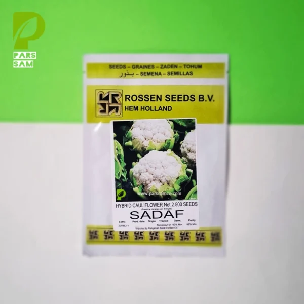 پاکت 2500 عددی گل کلم صدف روزن سیدز