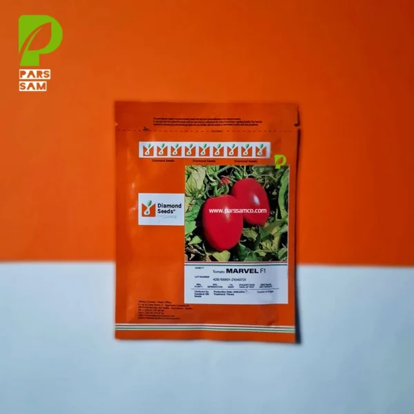 بذر گوجه فرنگی مارول