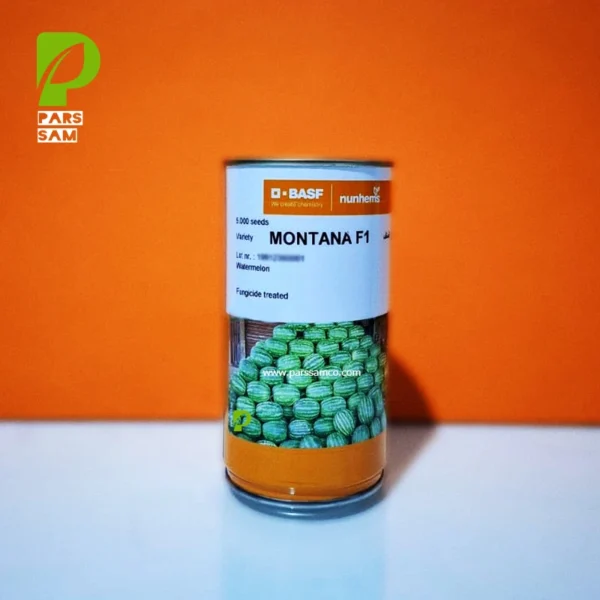 هندوانه مونتانا نانهمز قوطی 5000 عددی