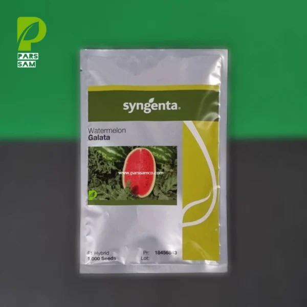 پاکت 1000 عددی هندوانه گالاتا