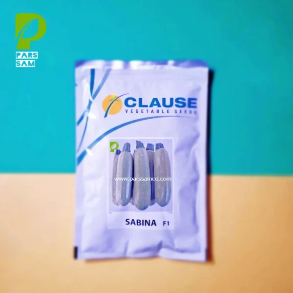 پاکت 100 گرمی بذر کدو خورشتی سابینا