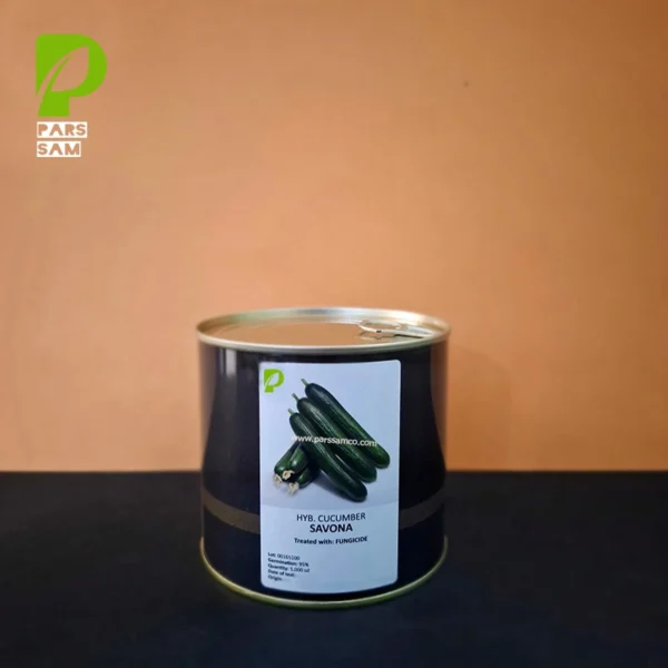 خیار ساوونا (Savona) کانیون