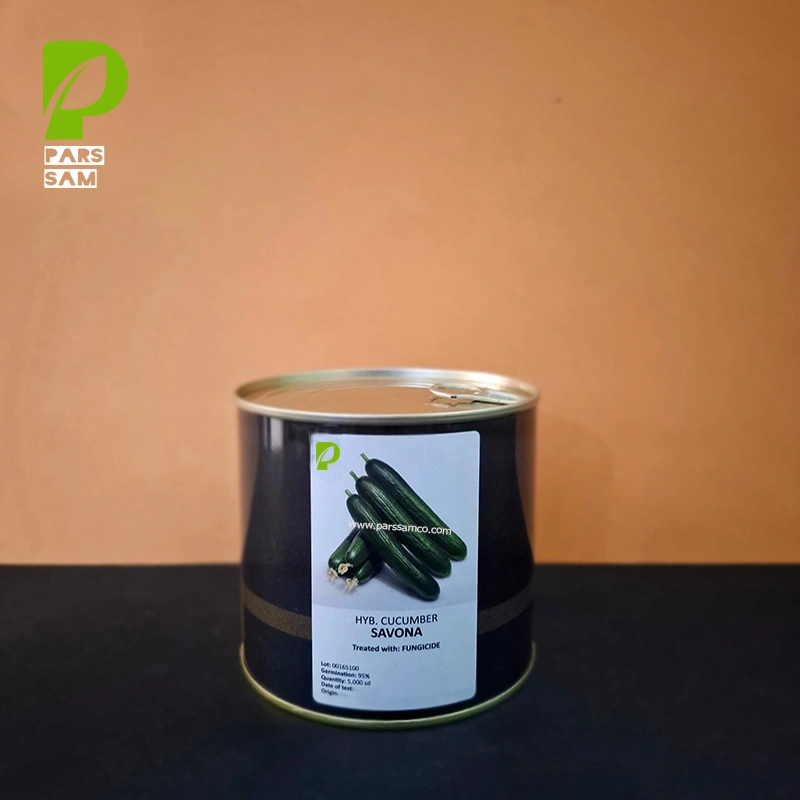 خیار ساوونا (Savona) کانیون