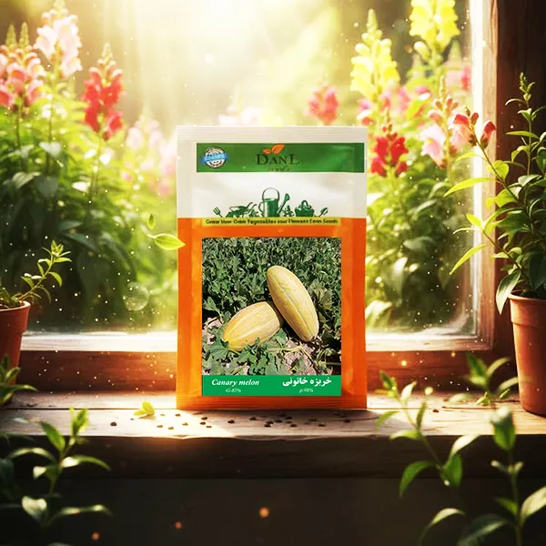 پاکت بذر خربزه خاتونی خانگی دانل سید
