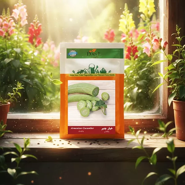بذر خیار چنبر خانگی دانل سید